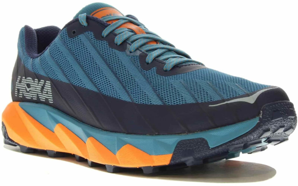 best shoes for marathon des sables